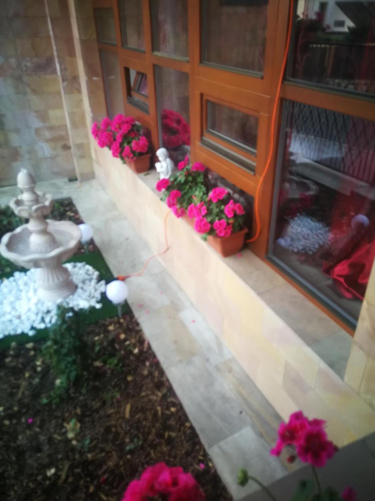 Villa Barrandovska Прага Екстер'єр фото